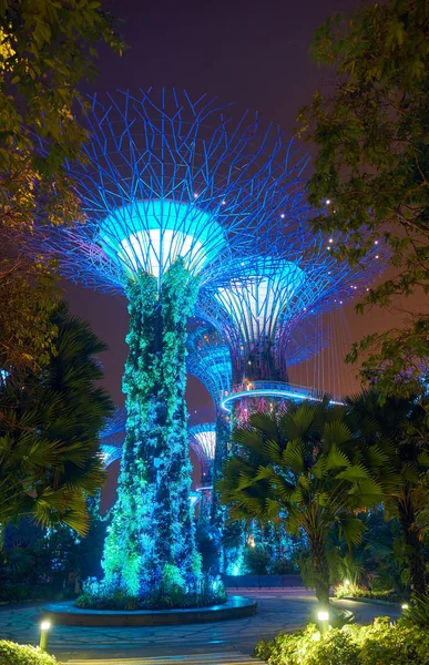 Tuinen langs de baai 's nachts in singapore — Stockfoto