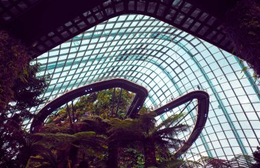 Körfez'deki Garden'da sera kompleksi. Singapur