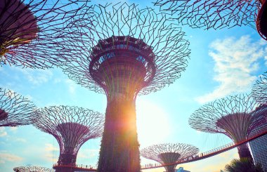 Bahçelerle supertree Singapur koy