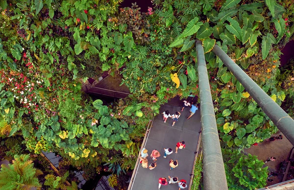 Complexo de estufas no Jardim perto da Baía. Singapura — Fotografia de Stock