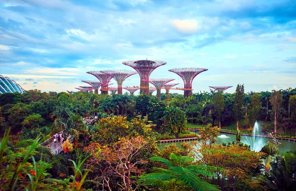 Gardens by the Bay is een natuurpark in Singapore — Stockfoto