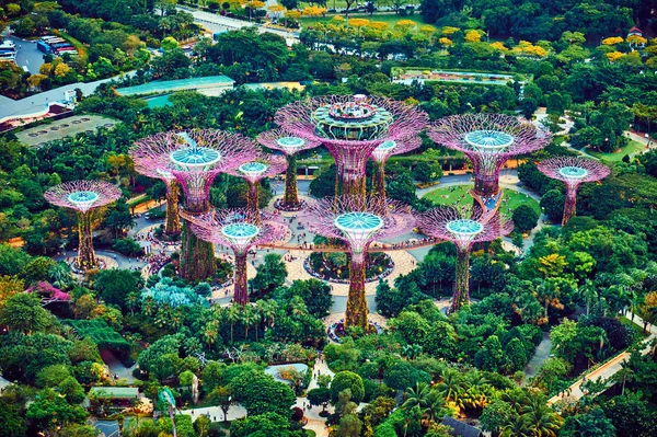 Gardens by the Bay es un parque natural en Singapur —  Fotos de Stock