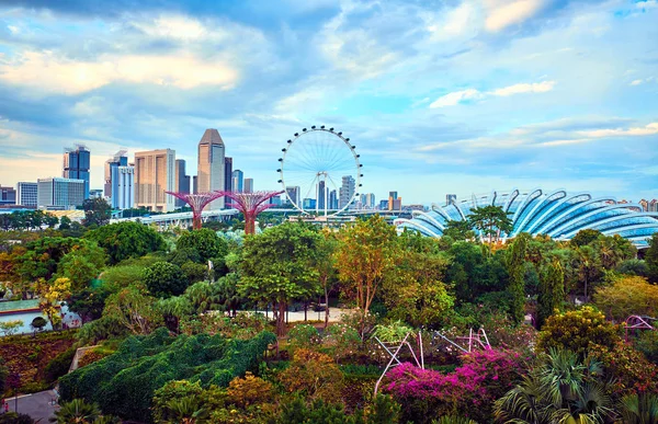 Gardens By The Bay στη Σιγκαπούρη — Φωτογραφία Αρχείου