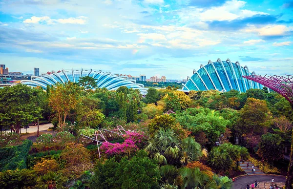 Gardens By The Bay in Singapur — Stockfoto