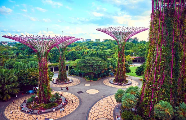 Gärten an der Bucht mit Supertree in Singapore — Stockfoto