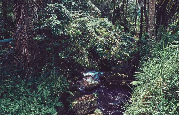 Fluss im Wald. Wilde Landschaft. — Stockfoto