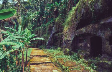 Ormanda yol. Bali 'deki manzara.