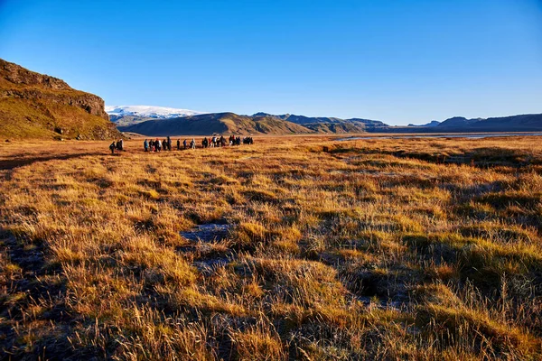 Skupina turistů na Islandu — Stock fotografie
