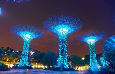 gece Körfez Singapur bahçeleri