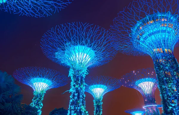 Gärten an der Bucht bei Nacht in Singapore — Stockfoto