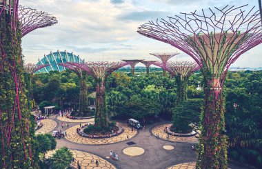 Bahçelerle supertree Singapur koy