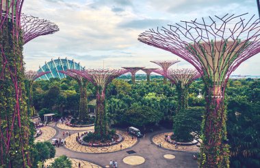 Bahçelerle supertree Singapur koy