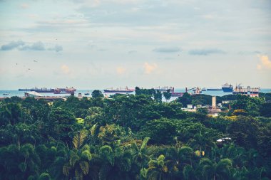 Bahçelerle supertree Singapur koy