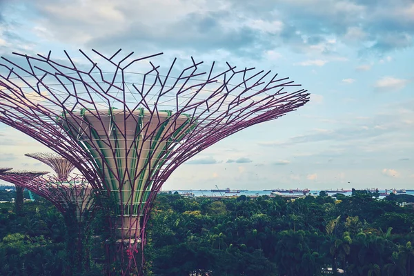 Tuinen langs de baai met supertree in singapore — Stockfoto