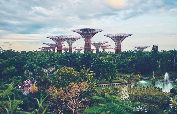 Tuinen langs de baai met supertree in singapore — Stockfoto