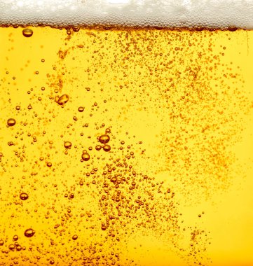 bira closeup alkol içki içecek