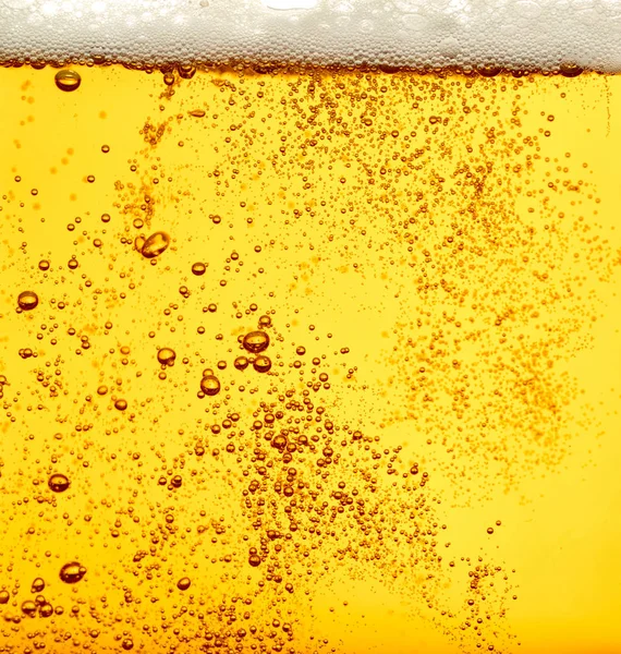 Bira closeup alkol içki içecek — Stok fotoğraf