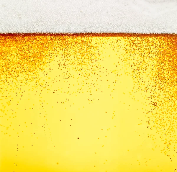 Пиво крупним планом алкогольний напій — стокове фото