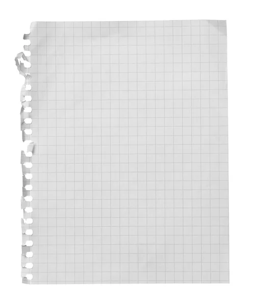 Collection Morceaux Papier Blanc Déchiré Sur Fond Blanc Chacun Est — Photo
