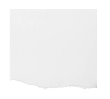 Beyaz zemin üzerinde beyaz yırtık kağıt parçaları koleksiyonu. Her biri ayrı ayrı çekiliyor.