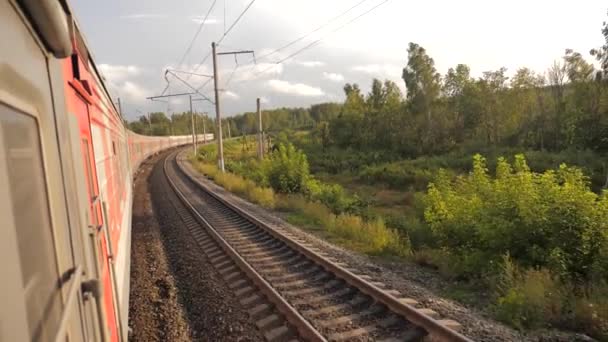 Vagony vlakem po kolejích poblíž lesní železnice venku. zpomalené video. Vlak s kočáry se pohybuje u lesa. životní styl koncepce železniční vlak auta a vlakem