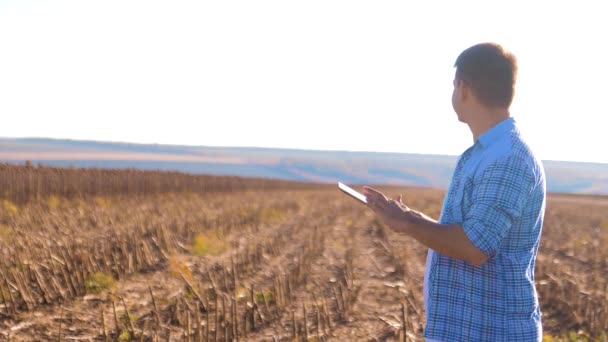 Boer werkt Smart landbouw man Lees- of analyse oogst zonnebloem een verslag in tablet pc op een gebied van de landbouw met vintage Toon op een zonlicht. de combine harvester biedt een veld landbouw — Stockvideo