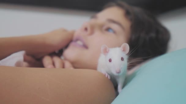 Little girl is played on a bed with a white homemade handmade rat mouse. funny  video lifestyle rat crawling over a little girl. girl and white mouse pet  concept — Stock Video ©