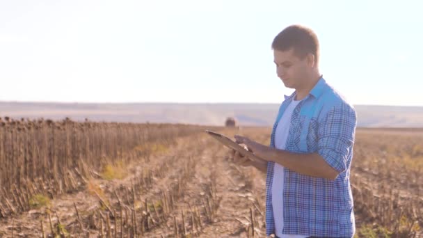 Agriculteur Smart travaux agricoles homme lu ou analyse récolte tournesol un rapport dans un ordinateur tablette sur un domaine agricole avec style de vie ton vintage sur un soleil. la moissonneuse batteuse laboure un champ — Video