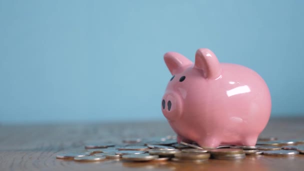 standing piggy bank