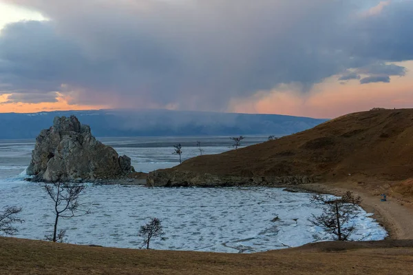 Bluebells Rots Bij Zonsondergang Ijs Het Baikalmeer Mei — Stockfoto