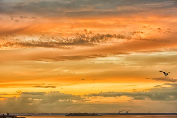 Nascer Sol Céu Dourado Nuvens Raios Sol Cor Panorama — Fotografia de Stock