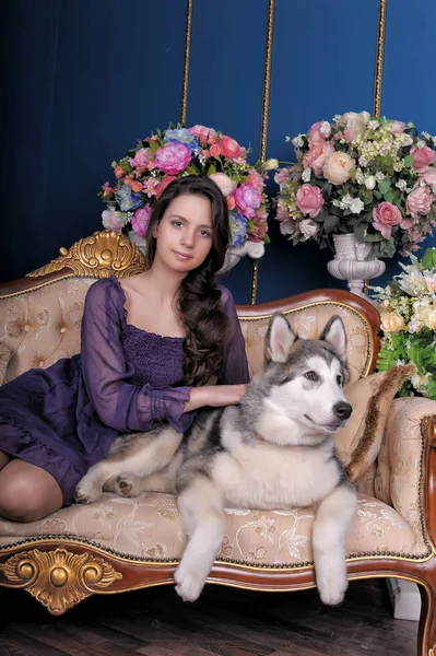 Flicka Tonåring Och Hund Malamute Soffan Bland Vaser Med Blommor — Stockfoto