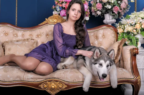 Mädchen Und Hund Malamute Auf Sofa Zwischen Vasen Mit Blumen — Stockfoto