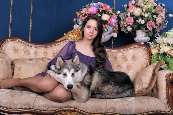 Ragazza Adolescente Cane Malamute Sul Divano Tra Vasi Con Fiori — Foto Stock