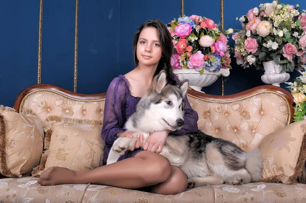 Flicka Tonåring Och Hund Malamute Soffan Bland Vaser Med Blommor — Stockfoto