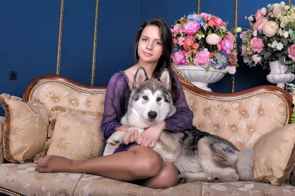 Menina Adolescente Cão Malamute Sofá Entre Vasos Com Flores — Fotografia de Stock