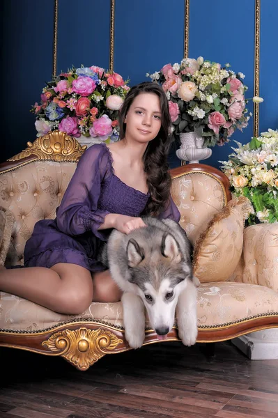 Mädchen Und Hund Malamute Auf Sofa Zwischen Vasen Mit Blumen — Stockfoto