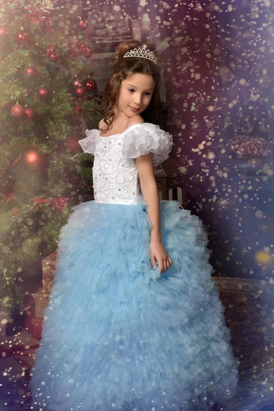 Молода Принцеса Блакитній Сукні Діадемою Волоссі Ялинці — стокове фото