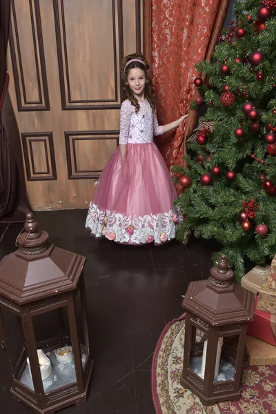 Princesa Joven Vestido Rosa Festivo Con Bordados Flores — Foto de Stock