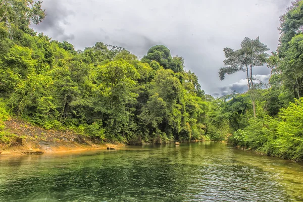 Jungle Thaïlande Lac Forestier — Photo