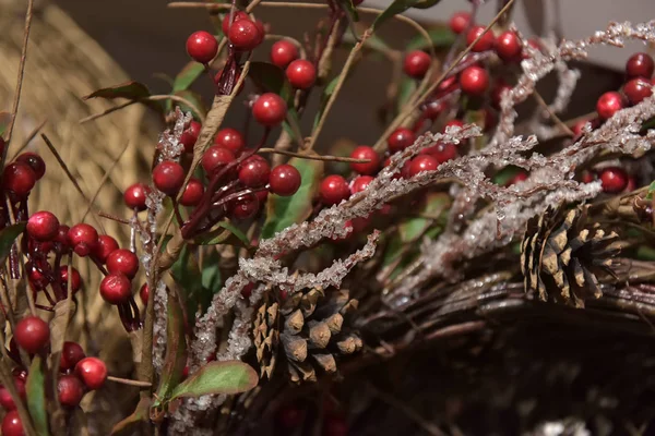 Christmas Fir Frame Red Berries — Stock Photo, Image