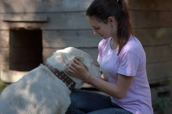 Flicka Brunett Tonåring Med Vit Central Asiatiska Sheepdog — Stockfoto