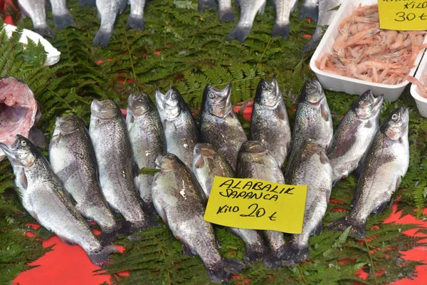 Turquía Estambul 2018 Conjuntos Truchas Camarones Pescado Para Sopa Mercado — Foto de Stock