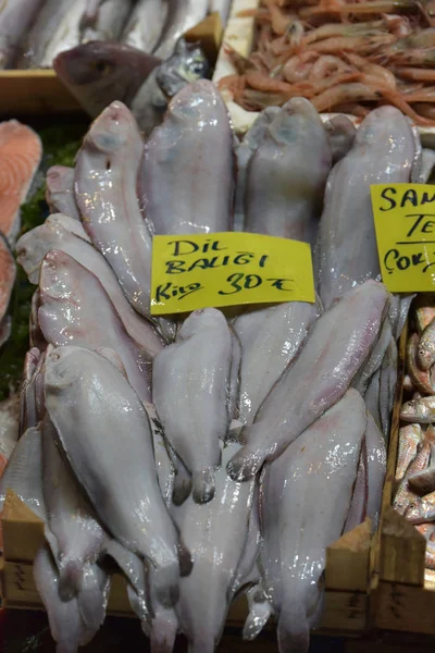 Turchia Istanbul 2018 Solea Solea Nel Mercato Del Pesce Istanbul — Foto Stock