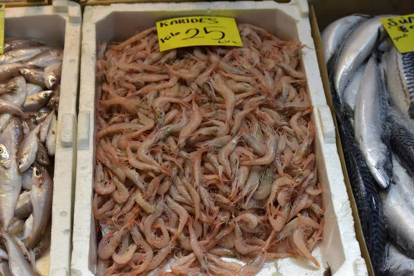 Turquia Istambul 2018 Camarão Mercado Peixe Istambul — Fotografia de Stock