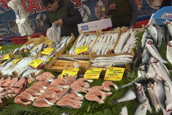 Turquía Estambul 2018 Gran Variedad Pescado Mercado Pescado Estambul —  Fotos de Stock