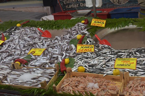 Turquie Istanbul 2018 Grande Variété Poissons Dans Marché Aux Poissons — Photo