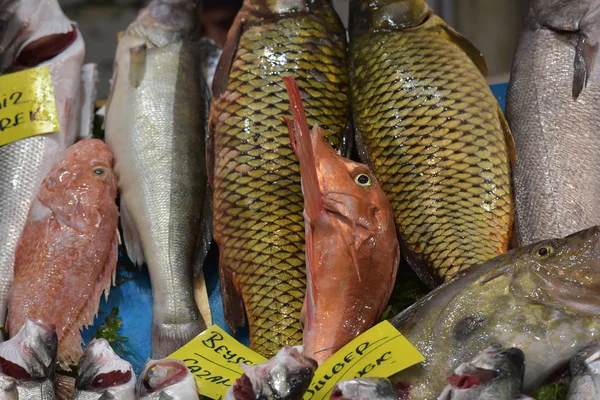 Turquia Istambul 2018 Grande Variedade Peixes Mercado Peixe Istambul — Fotografia de Stock