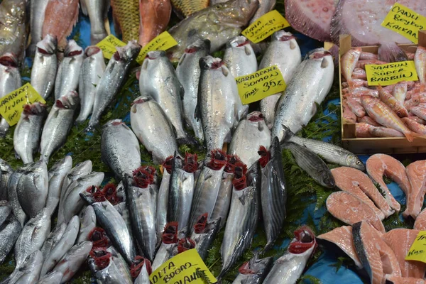 Turchia Istanbul 2018 Grande Varietà Pesce Nel Mercato Del Pesce — Foto Stock