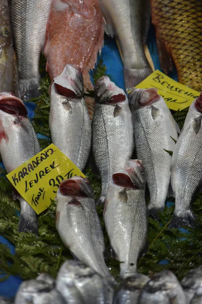Турция Стамбул 2018 Большой Выбор Рыбы Рыбном Рынке Стамбула — стоковое фото